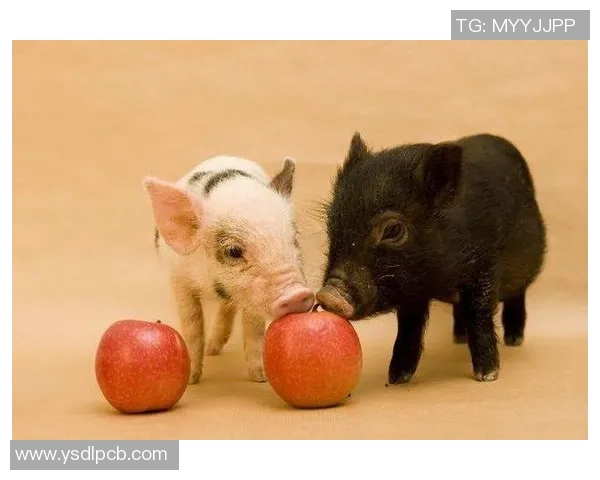 足球明星与可爱动物亲密合影展现温暖瞬间的奇妙头像故事