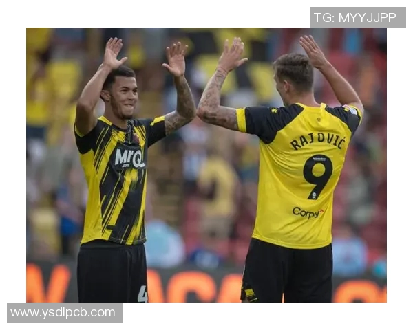 沃特福德主场迎战西布朗争夺英冠积分榜重要位置